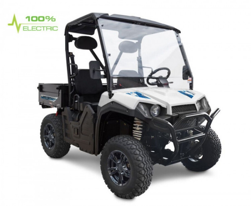 UTV GreenCamel Linhai LH50DU (4kW AC, R12 литые) LUX фото 1 &mdash; Средства Индивидуальной Мобильности