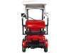 Электротрицикл Rutrike Gelbert Hara 48V/60V 600Вт фото 4 &mdash; sim03.shop