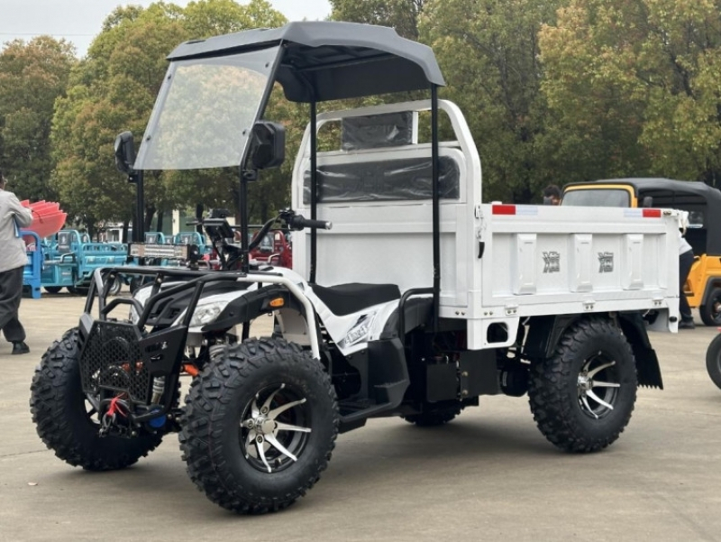 Квадроцикл грузовой GreenCamel Сахара A8000 (72V 4000W R12) фото 1 &mdash; Средства Индивидуальной Мобильности