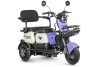 Электротрицикл Rutrike Gelbert Vega 48V/60V 600Вт фото 1 &mdash; sim03.shop