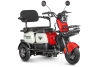 Электротрицикл Rutrike Gelbert Vega 48V/60V 600Вт фото 2 &mdash; sim03.shop