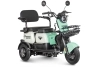 Электротрицикл Rutrike Gelbert Vega 48V/60V 600Вт фото 3 &mdash; sim03.shop
