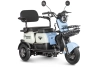 Электротрицикл Rutrike Gelbert Vega 48V/60V 600Вт фото 4 &mdash; sim03.shop