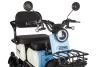 Электротрицикл Rutrike Gelbert Vega 48V/60V 600Вт фото 6 &mdash; sim03.shop