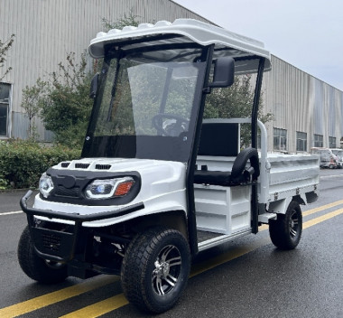 Гольфкар GreenCamel Сонора A2C 1500 (2+Cargo 1800W R10) пониженная &mdash; Средства Индивидуальной Мобильности