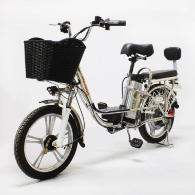 Электровелосипед GreenCamel Транк-18 V2 (R18 250W) алюмин, гидравлика, DD &mdash; sim03.shop