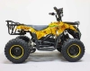 Квадроцикл GreenCamel Гоби K45 (36V 800W R6 Цепь) быстросъем, ножной тормоз фото 17 &mdash; sim03.shop