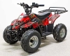 Квадроцикл GreenCamel Гоби K70 (36V 800W R7 Дифф) быстросъем фото 1 &mdash; sim03.shop