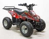 Квадроцикл GreenCamel Гоби K70 (36V 800W R7 Дифф) быстросъем фото 3 &mdash; sim03.shop