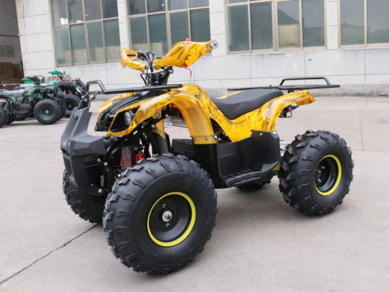 Квадроцикл GreenCamel Atakama T200 (48V 800W R8 Дифференциал) фото 1 &mdash; Средства Индивидуальной Мобильности