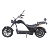 Электроскутер Skyboard Enisei Chopper 4000W фото 2 &mdash; sim03.shop