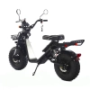 Электроскутер Skyboard Kamchatka 3000W фото 4 &mdash; sim03.shop