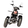 Электроскутер Skyboard Elbrus Chopper 5000W фото 20 &mdash; sim03.shop