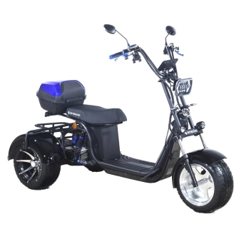 Электроскутер Skyboard MyRussia BR60 3000W &mdash; sim03.shop