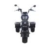 Электроскутер Skyboard MyRussia BR60 3000W фото 2 &mdash; sim03.shop