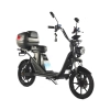 Электроскутер Skyboard Sakhalin 1200W фото 1 &mdash; sim03.shop
