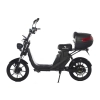 Электроскутер Skyboard Sakhalin 1200W фото 5 &mdash; sim03.shop