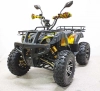 Квадроцикл GreenCamel Сахара AWD 4x4 (60V52Ah 2x2kW R10 alum) фото 2 &mdash; sim03.shop