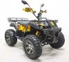 Квадроцикл GreenCamel Сахара AWD 4x4 (60V52Ah 2x2kW R10 alum) фото 1 &mdash; sim03.shop
