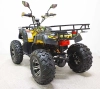 Квадроцикл GreenCamel Сахара AWD 4x4 (60V52Ah 2x2kW R10 alum) фото 11 &mdash; sim03.shop