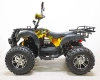 Квадроцикл GreenCamel Сахара AWD 4x4 (60V52Ah 2x2kW R10 alum) фото 7 &mdash; sim03.shop
